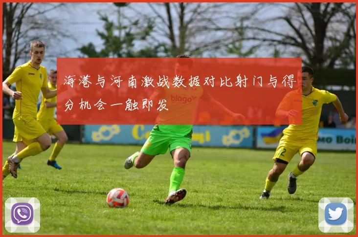海港与河南激战数据对比射门与得分机会一触即发